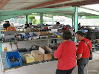 IMG_7998.jpg