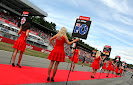 Wallpapers 2012 F1 Pit & Grid girls
