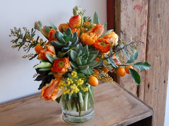 [DSC_0007-small-stump-blogspot6.jpg]