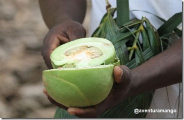 Wild Mango Wild Mango
