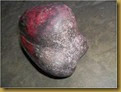 Fosil belimbing - bwh Fosil belimbing - bwh