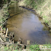 rz. Gryżynka dsc06290.jpg