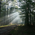 photoBOURGON 3 197.jpg
