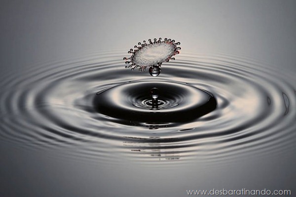 liquid-drop-art-gotas-caindo-foto-velocidade-hora-certa-desbaratinando (51) liquid-drop-art-gotas-caindo-foto-velocidade-hora-certa-desbaratinando (51)