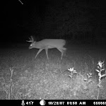 010 (2) - Copy.JPG