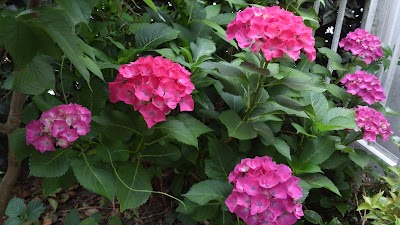 2014-06-08 06.22.32.jpg