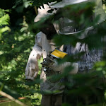photoIMG_3393.jpg