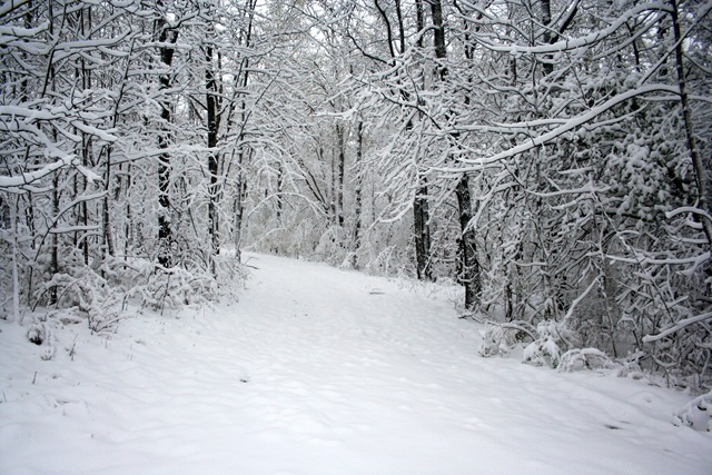 [IMG_0048%255B4%255D.jpg]