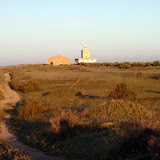 La isla OlVidAdA