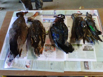 IMG00289-20111013-1112