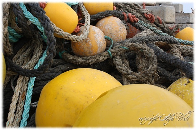 meer1