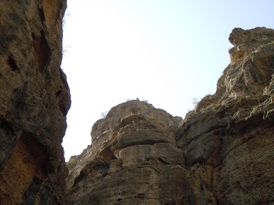 DSCN4010.jpg