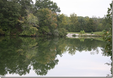 IMG_3231 IMG_3231