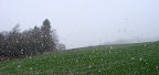 DSC05696.JPG