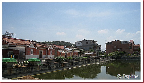 IMG_3713 IMG_3713