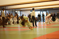 IMG_0657.jpg