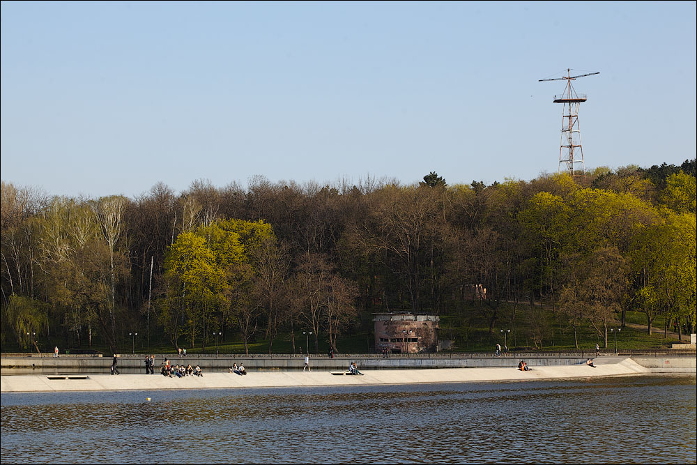IMG_2973.jpg