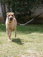 [FDS%2520Ecaologico%25206%2520%252823%2529%255B4%255D.jpg]