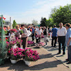 viragvasar_2010_06.jpg