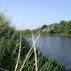 dsc05246.jpg