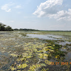 DSCN3034.JPG