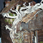 1512-40.JPG