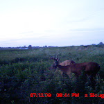 MDGC0046.JPG