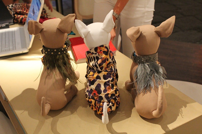 [IMG_6450%255B4%255D.jpg]