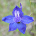 P3291793