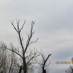 IMG_1564.JPG