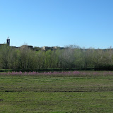 Imatge: 3� Cami de Sant Jaume 2011