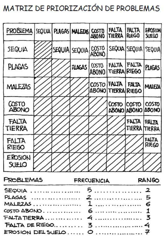 Ejemplo de Matriz de priorización de problemas Matriz de priorización de problemas