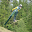 Sommerhoppuke Lillehammer 2011
