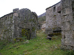 Salgueiro 1