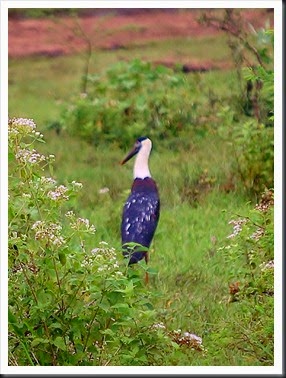 DSC_0645 DSC_0645