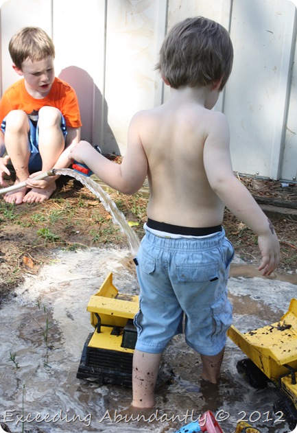 IMG_8262 IMG_8262