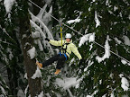 Sprachaufenthalt Whistler Tamwood