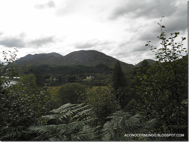 Glenfinnan. Monumento-PA040145