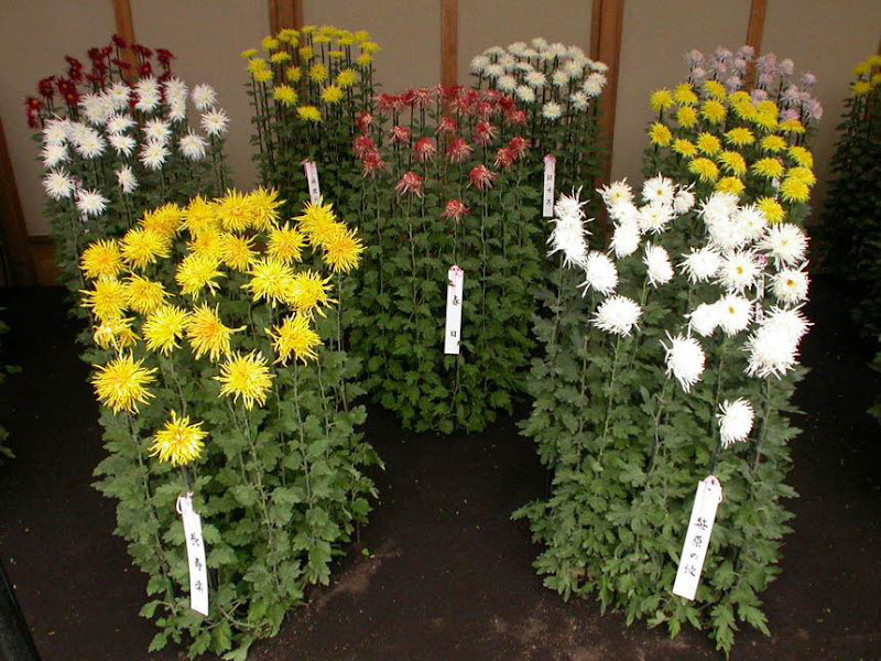 The art of Gardening