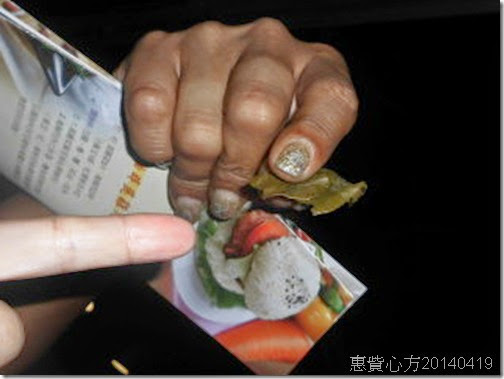 機器採茶 機器採茶