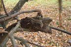 DSC02397.JPG
