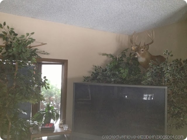 photo photo