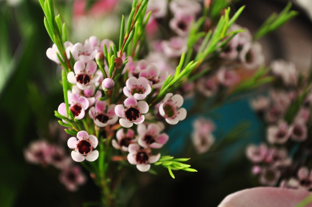 [DSC_96665.jpg]