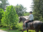 Well, Sharkey, let's go explore the beautiful trails of the Bedford Riding Lanes Association, that historic system of trails and dirt roads which extend and connect more than 100 linear miles of trails in the Bedford and Pound Ridge areas.