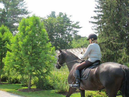 Well, Sharkey, let's go explore the beautiful trails of the Bedford Riding Lanes Association, that historic system of trails and dirt roads which extend and connect more than 100 linear miles of trails in the Bedford and Pound Ridge areas.