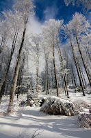 IMG_7446.jpg Photo