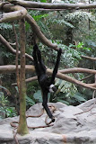 IMG_0042-3.JPG
