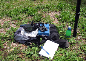 Rubish on the hill!