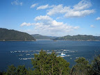 IMG_4746_512.JPG