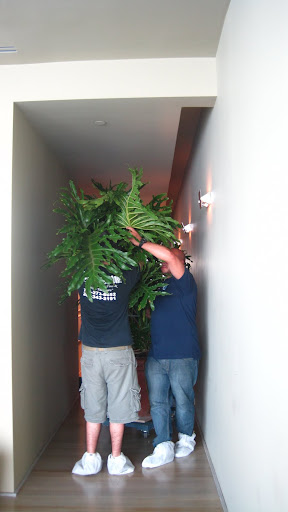 Here it comes down the hallway.